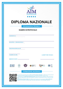AIM-Diploma_web